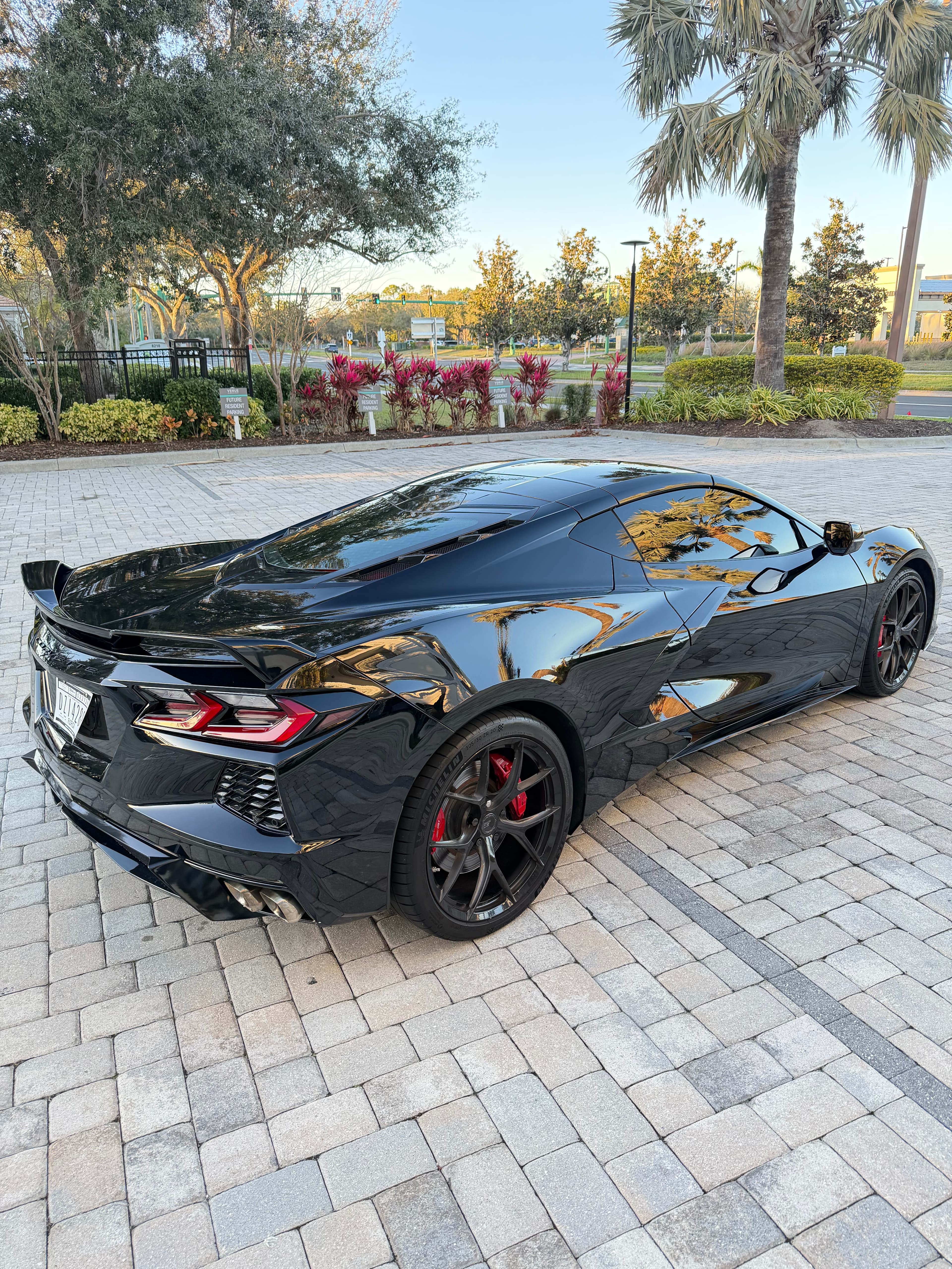 Glossy black Chevrolet Corvette on a stone driveway with palm tree reflections and red calipers.
